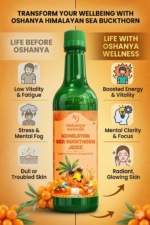 Sea buckthorn - Image 7